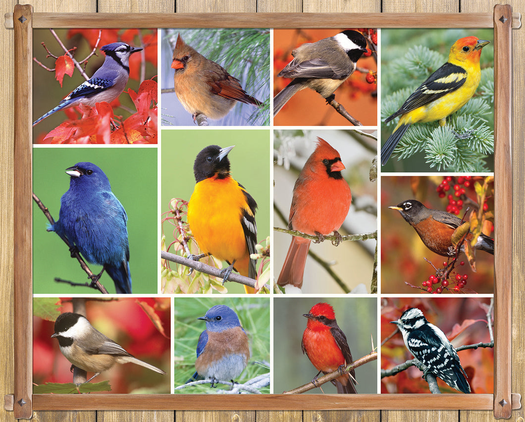 Songbirds - 1000 Piece Puzzle